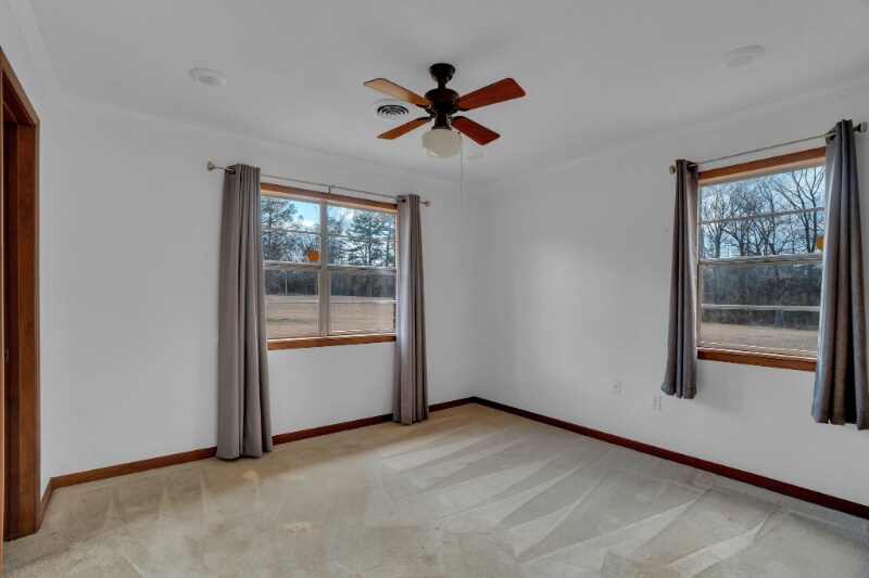 Building Photo - 1097 Van Norman Curv