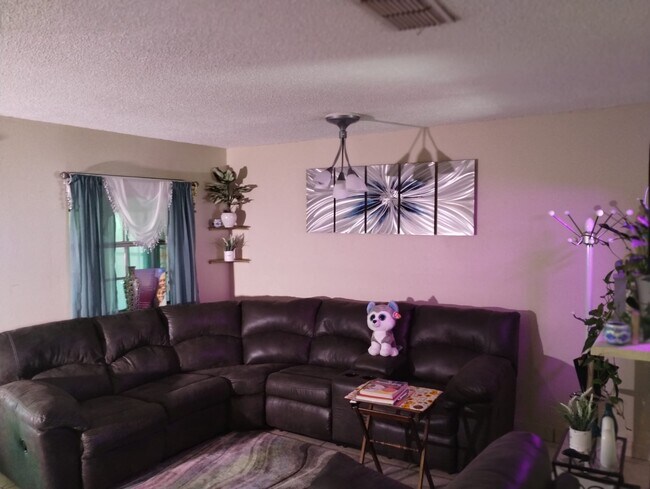 Living Room - 2213 Waterleaf St
