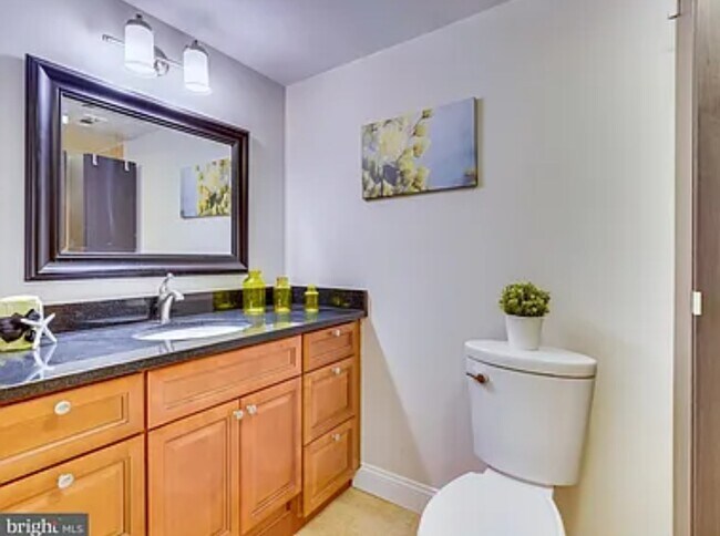 Spacious bathroom with large walk in shower - 1384 Bryant St NE