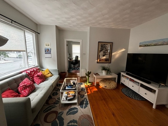 Living Room - 36 Linden Ave