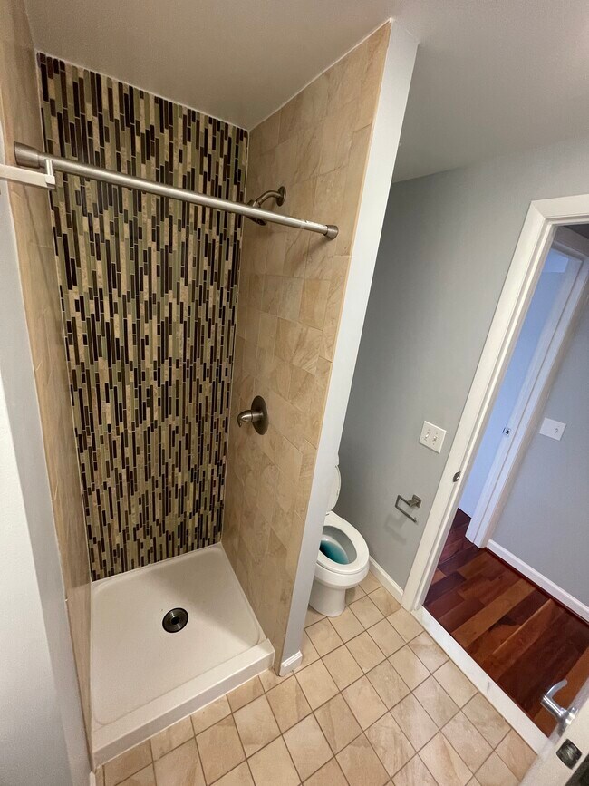 2nd Bathroom Modern Shower - 1763 Columbia Rd NW