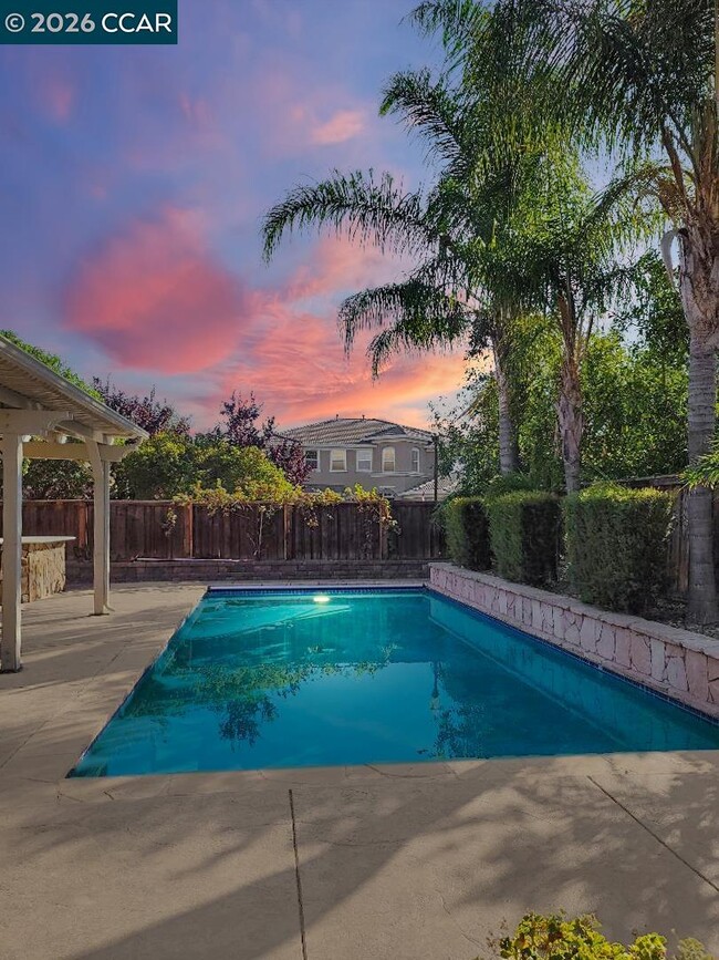 Building Photo - 2321 Star Lilly St