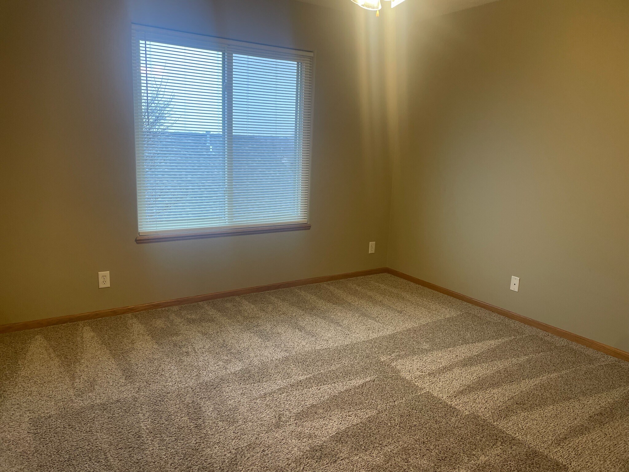 Building Photo - 6630 Shadow Pines Place