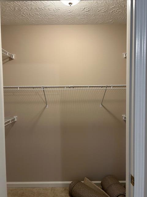 Building Photo - 3096 Roundway Down Ln