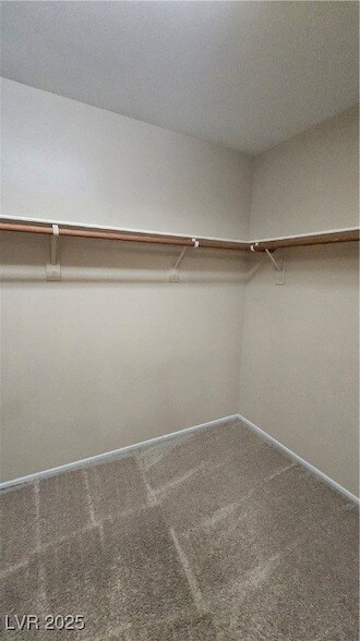 Building Photo - 11722 Bergamo Ct