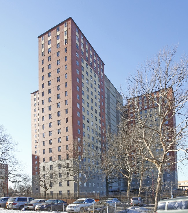 Luna Park Brooklyn, NY Apartment Finder