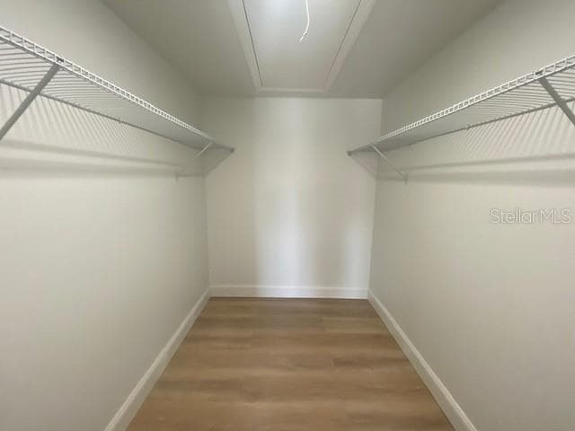 Building Photo - 542 Plaza Seville Ct