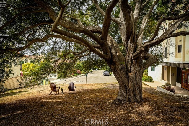 Building Photo - 2357 Palos Verdes Dr W