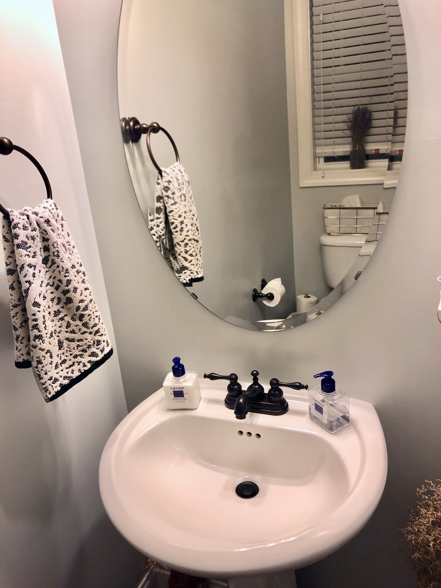 Downstairs Powder Room - 1359 Micahs Way N