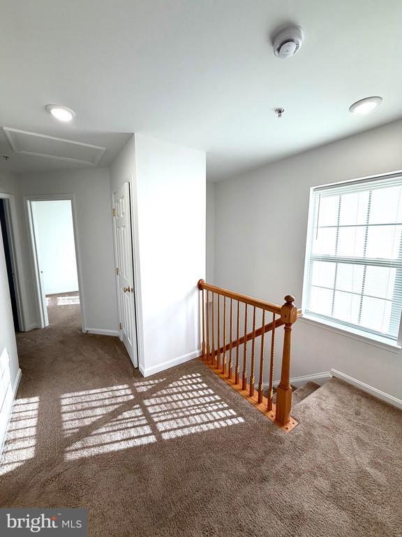 Building Photo - 107 Burck St