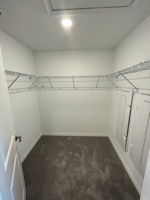 Building Photo - 32091 Powderpuff Mimosa Dr