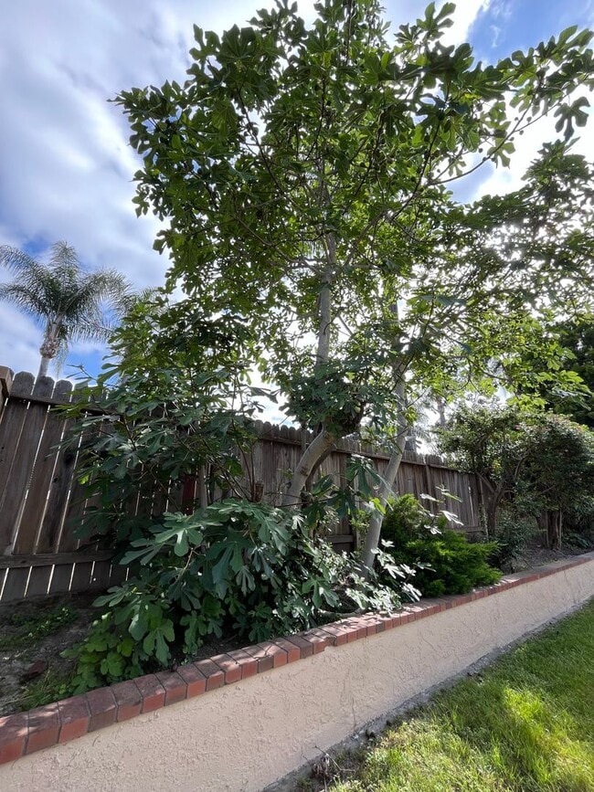 Building Photo - RECENTLY REFURBISHED  SINGLE STORY HOUSE W...