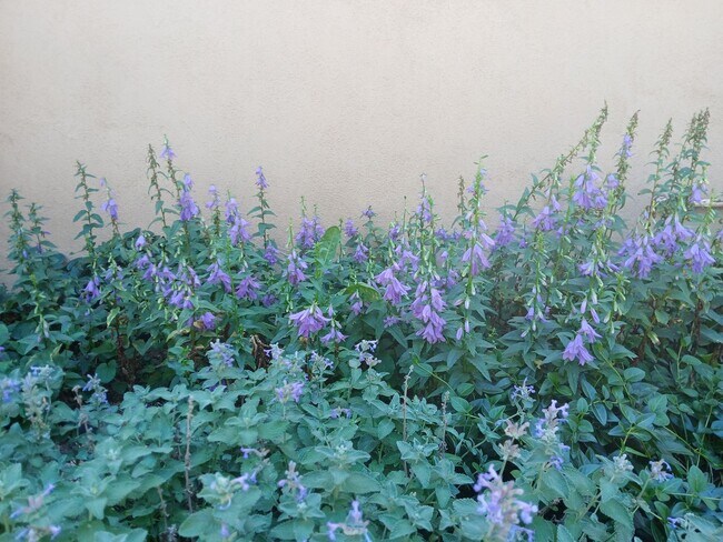 Building Photo - Absolute Gem in Pueblo Alegre (Camino De Chelly)