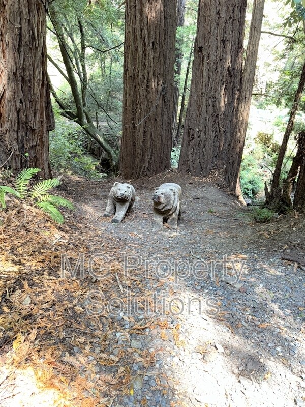 Building Photo - 7079 Lucas Valley Rd