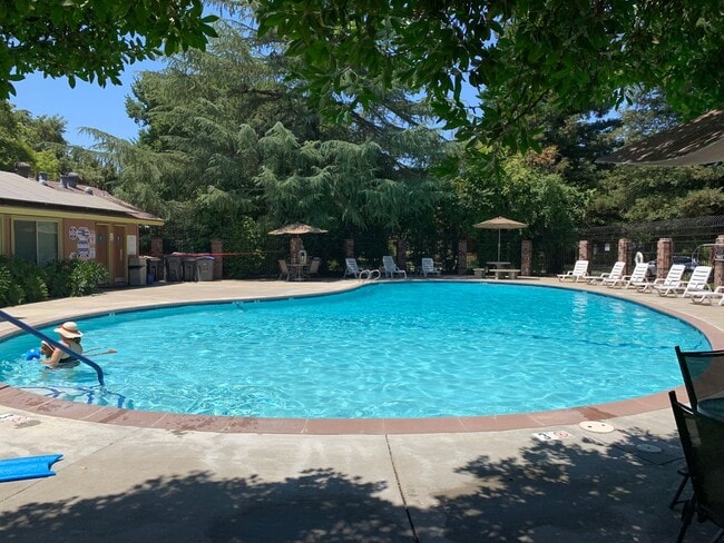 Building Photo - Updated 2 bedroom 1 bath condo in a quiet park like setting with a community pool