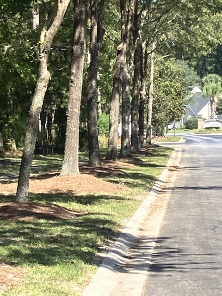 Main Road entrance - 119 South St