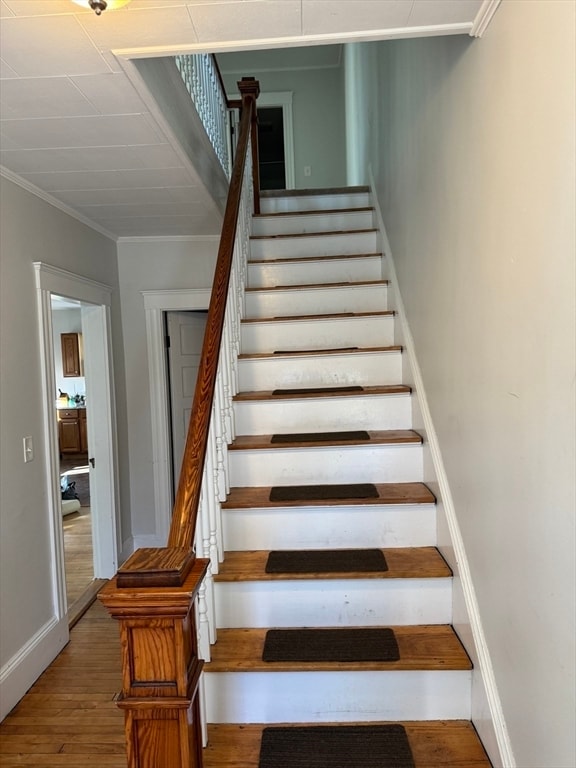 Building Photo - 56 Sheridan St