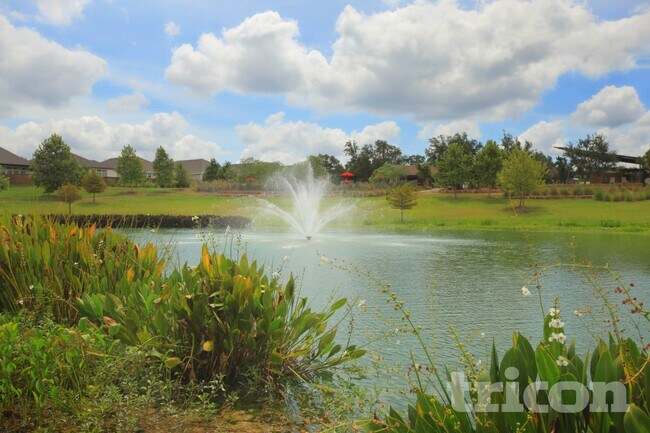 Building Photo - 625 Lindheimer Ln