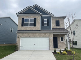 Building Photo - 236 Summerlin Dr