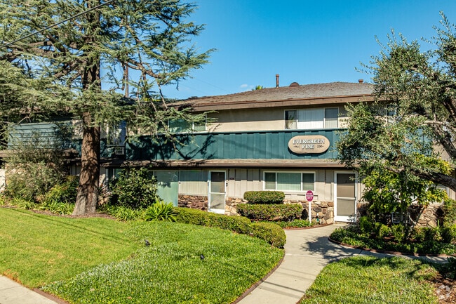 Building Photo - Evergreen Pine