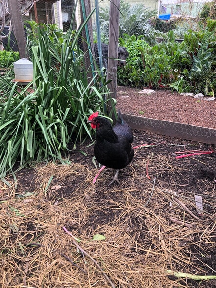 Building Photo - 1258 67th St