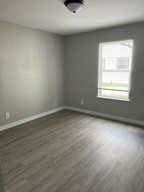 Building Photo - 919 Stetson Ave