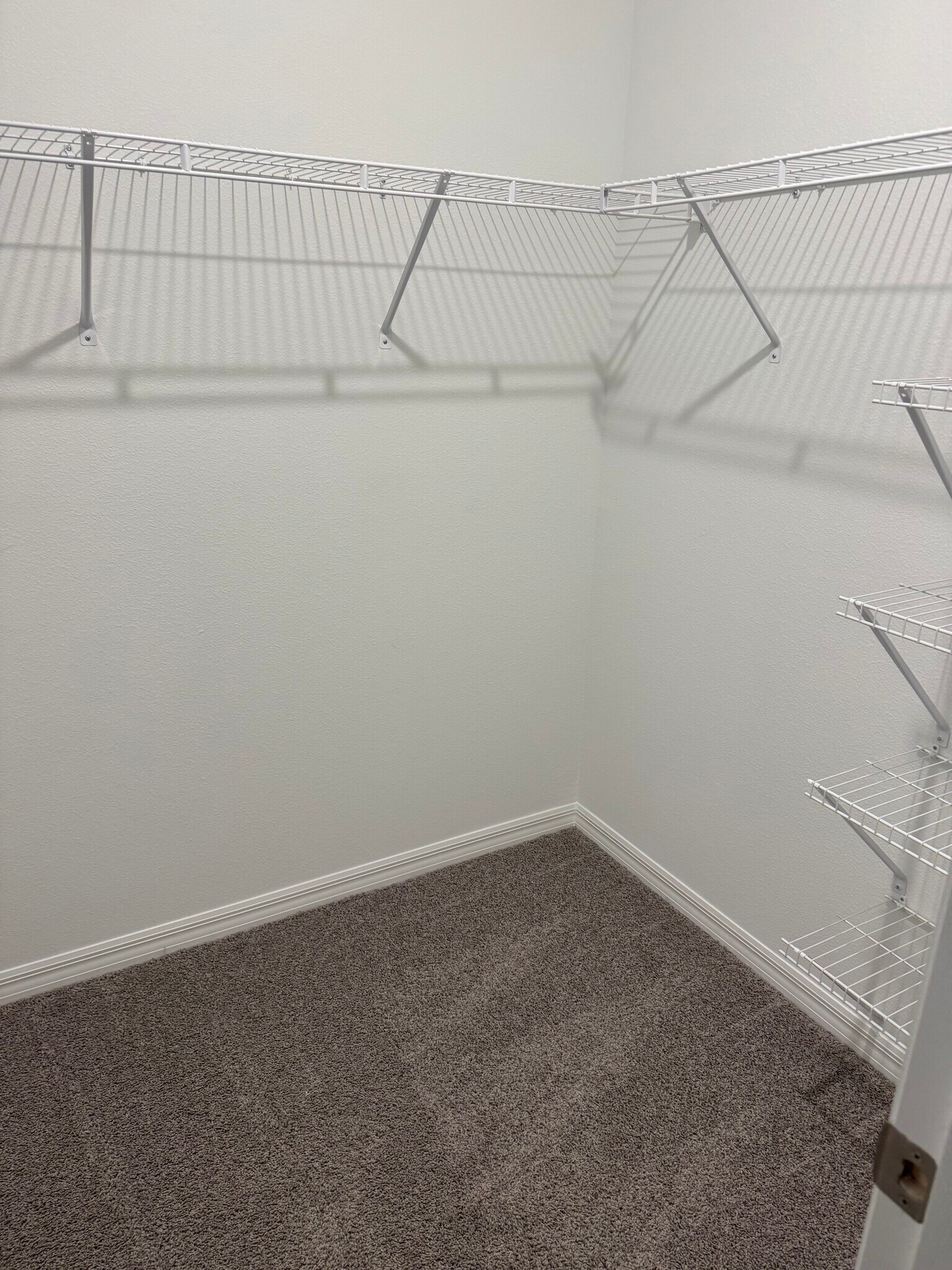 Building Photo - 3508 Marigold Patch Ct