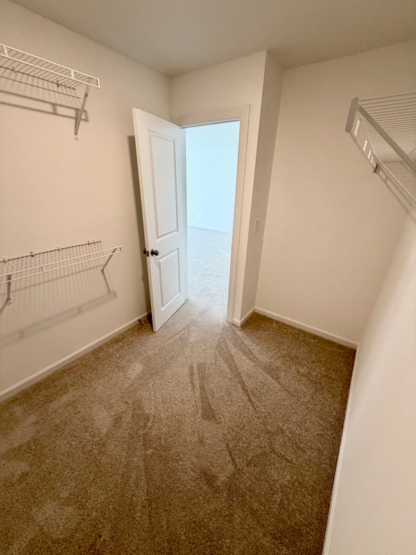 Building Photo - 265 Sweetbay Tree Dr