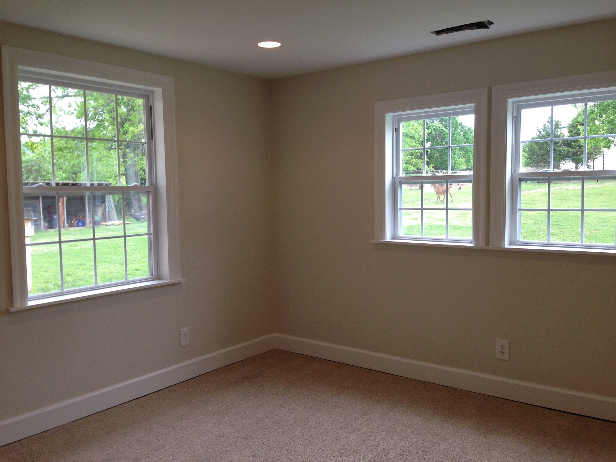 Master Bedroom (new blinds installed after photos. All windows have new blinds) - 378 Gunnison