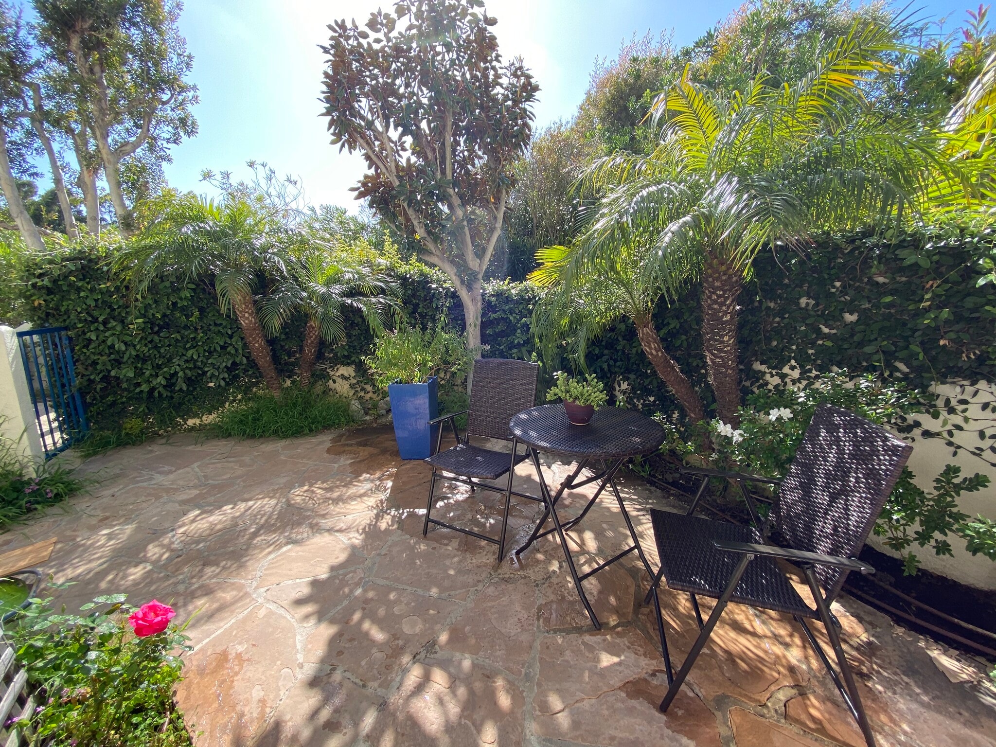 Patio - 6483 Zuma View Pl