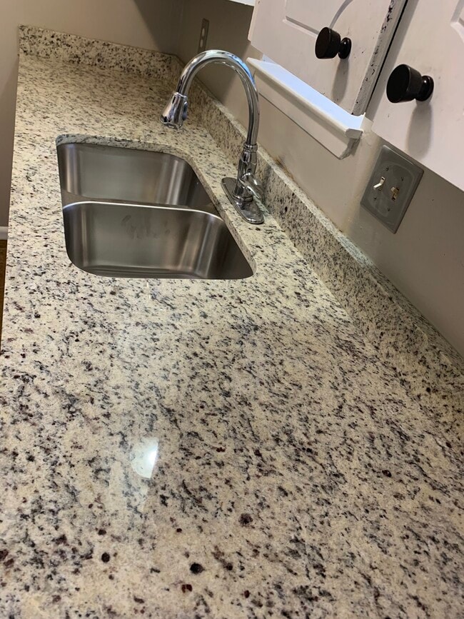 New granite countertops with new stainless steel sinks and faucet. - 203 Club Ln