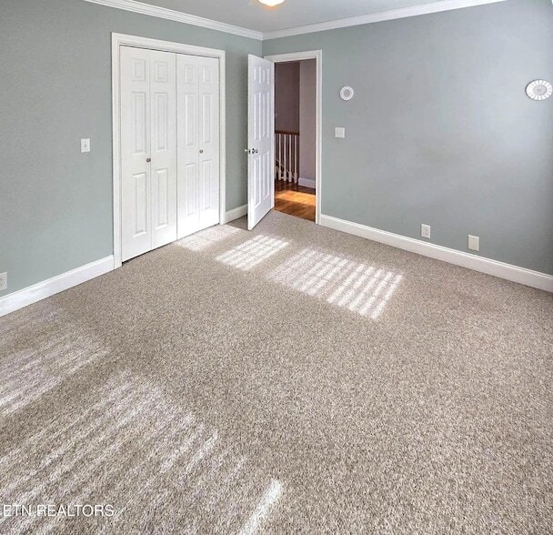 Building Photo - 12469 Daisywood Dr