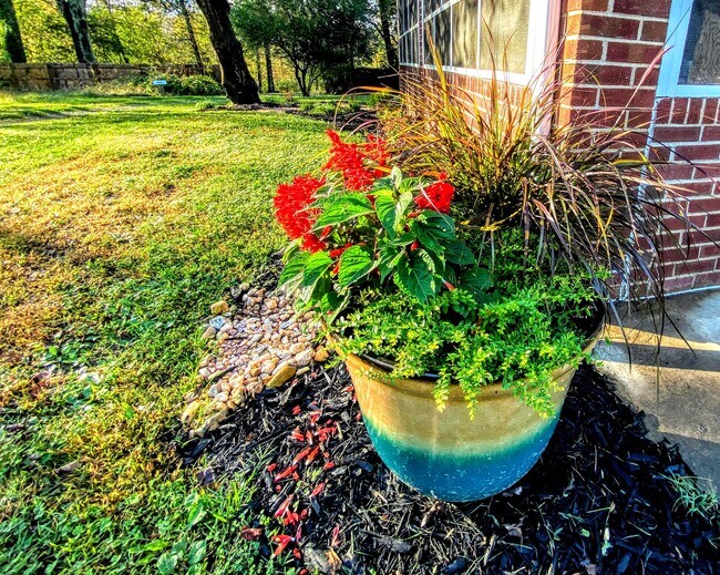 Building Photo - 2925 Center St