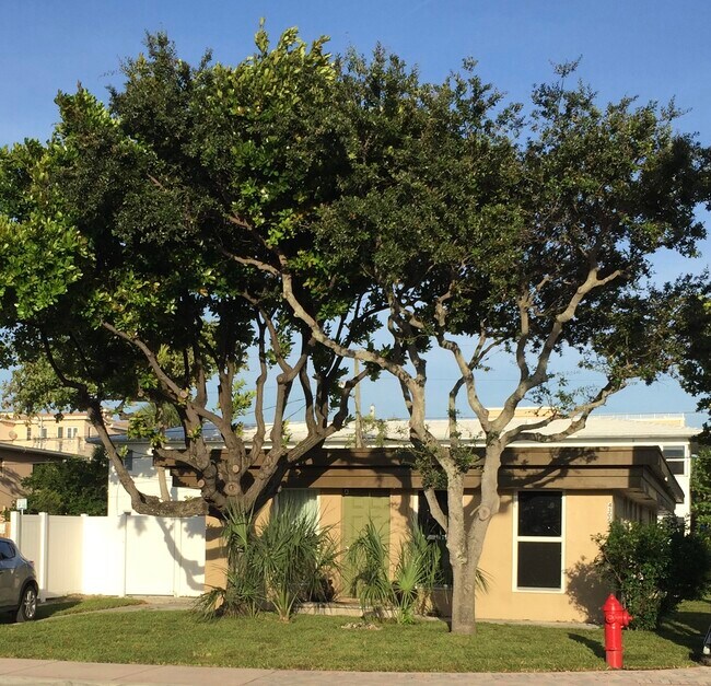 Building Photo - 4300 N Ocean Dr