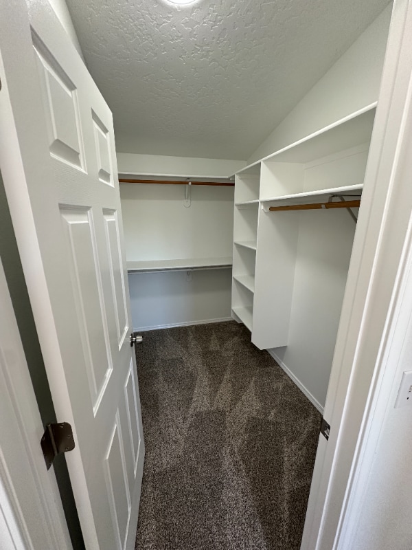 Building Photo - 670 Teton Dr