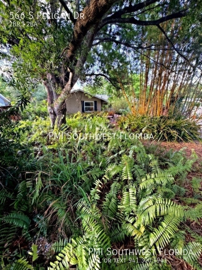 Building Photo - 566 S Pelican Dr