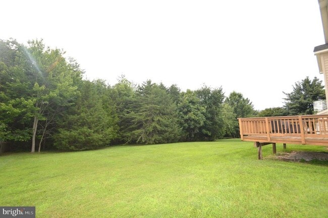 Building Photo - 25461 Lemon Tree Pl