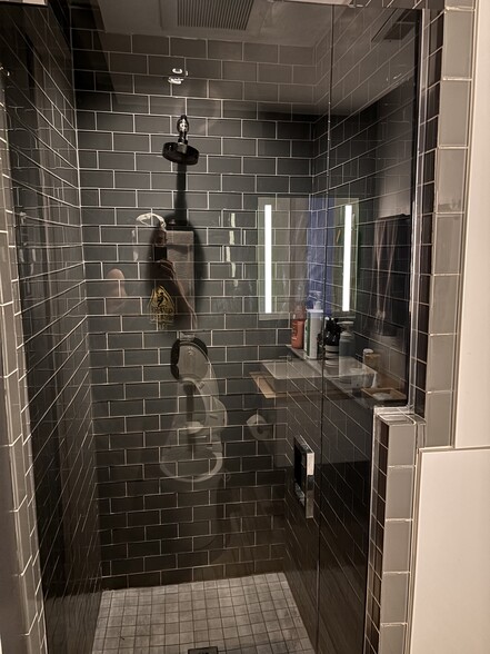 Guest Bathroom Shower - 3323 N Paulina St