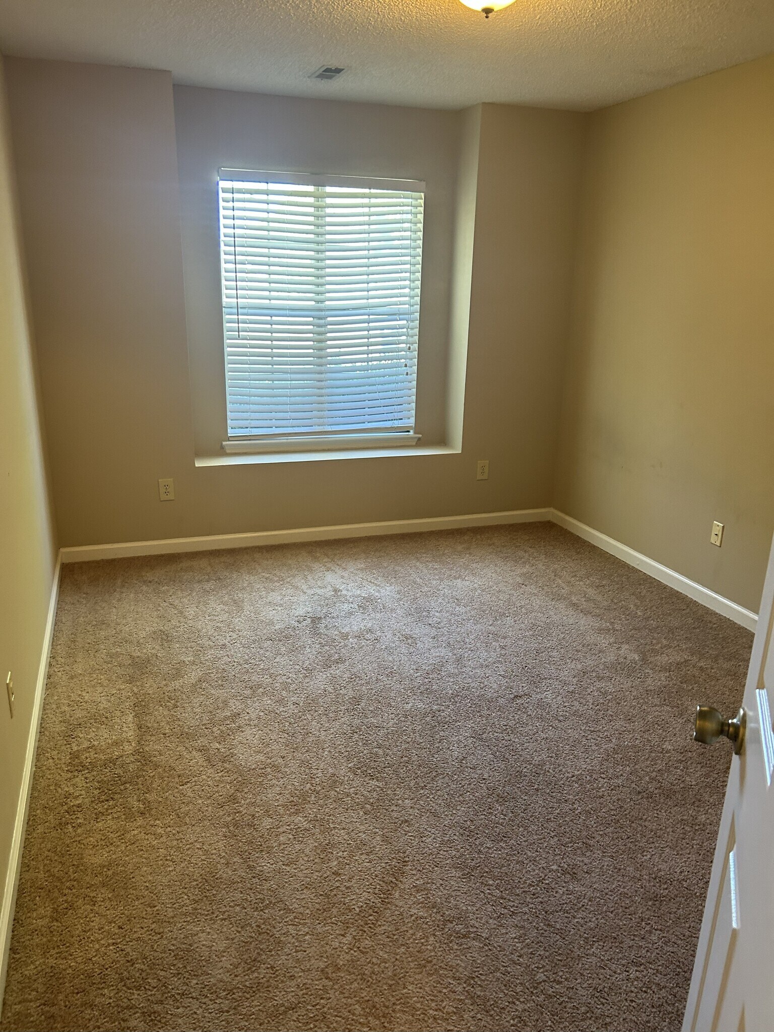 Building Photo - 103 Bell Rosa Ct