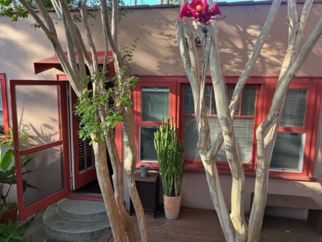 Front of Bungalow through treesW - 928 Marco Pl