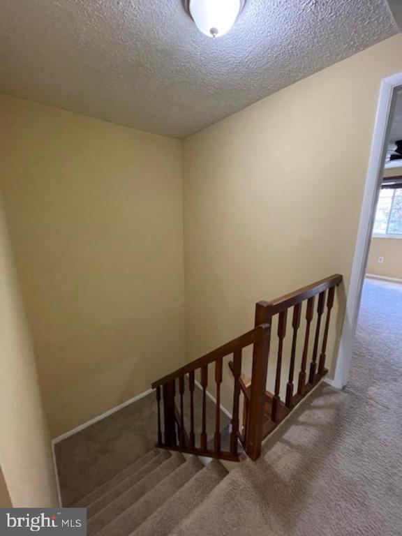 Building Photo - 105 Long Meadow Ct