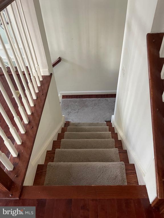 Building Photo - 1513 Regent Manor Ct