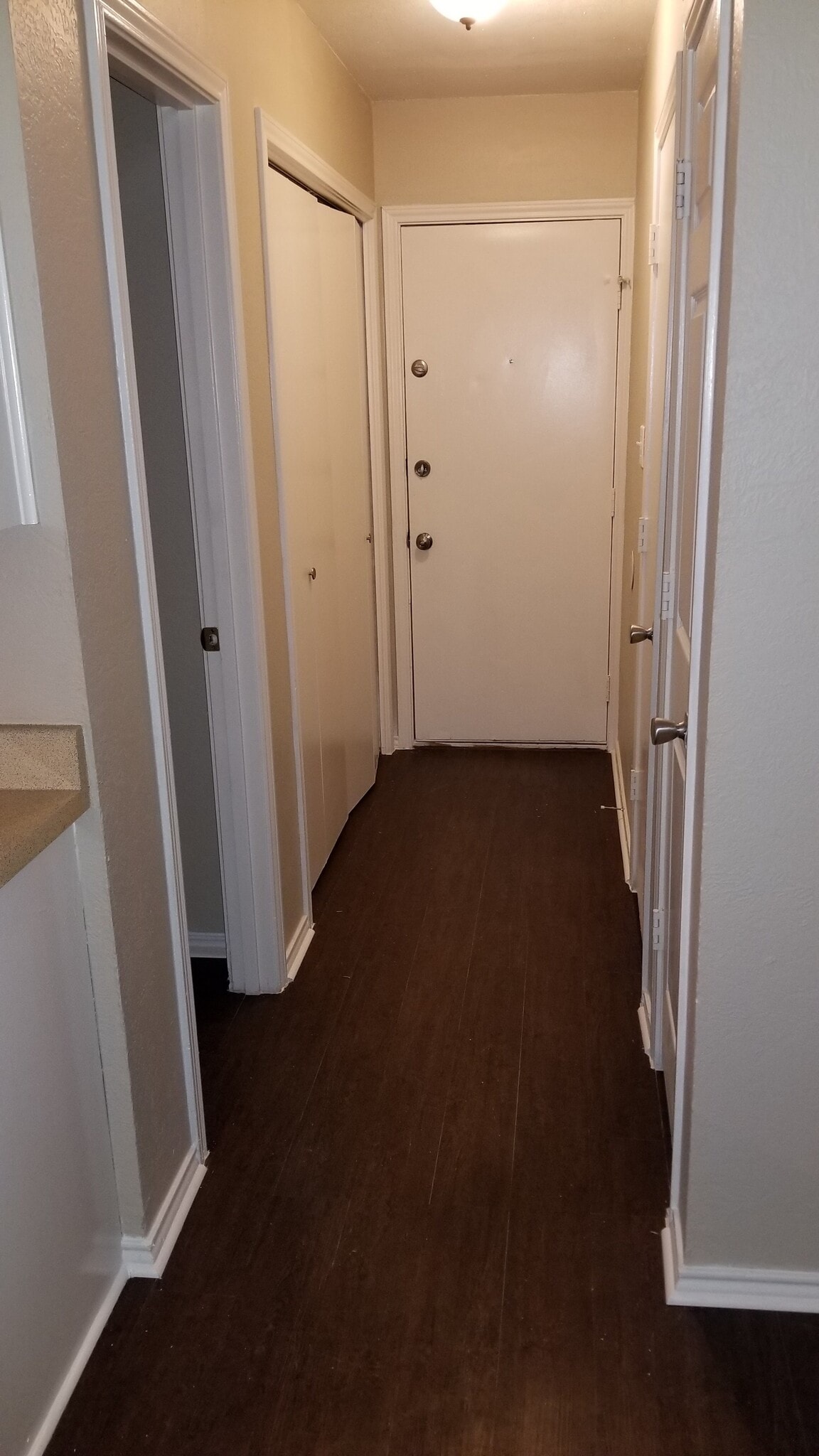Back Door - 1919 Tanglewood Dr
