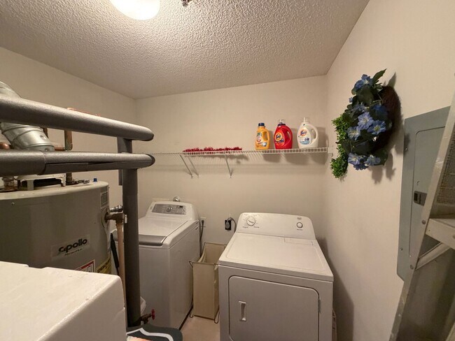 Building Photo - 1605 Willoughby Pk Ct