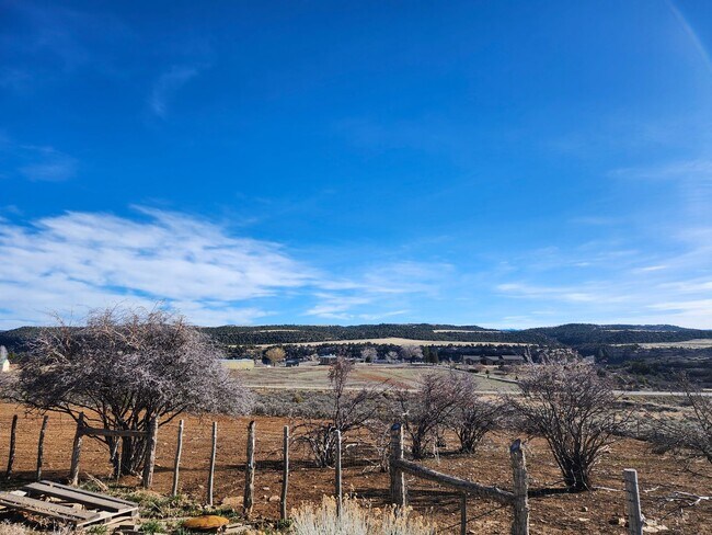 Building Photo - Country apartment Dolores- Utilities included