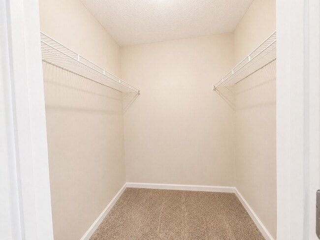 Building Photo - 3188 Drum Ct