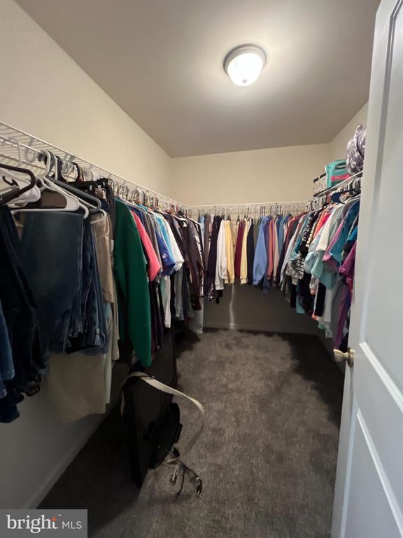 Building Photo - 13046 Monterey Ln