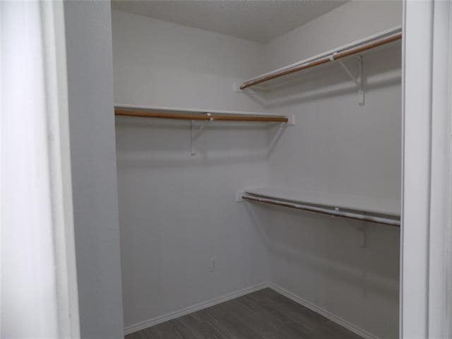 Building Photo - 6009 Castanada Dr
