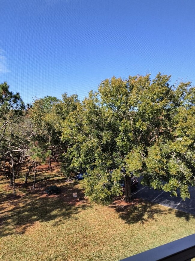 Building Photo - FREE RENT!!! Spacious condo in Gated Legacy Dunes