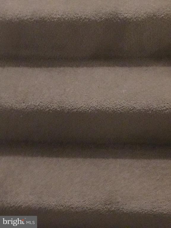 Building Photo - 4662 Deerwatch Dr